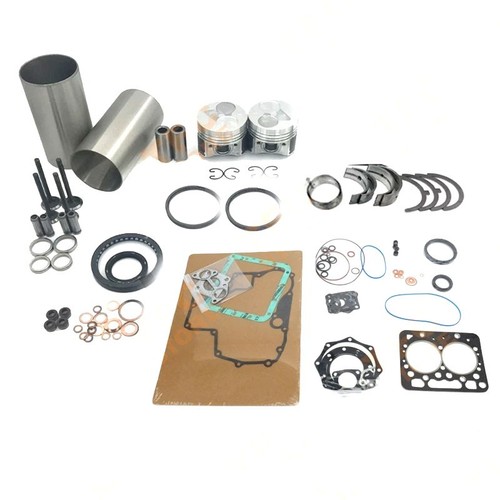 Z482 kit revisione - kit,