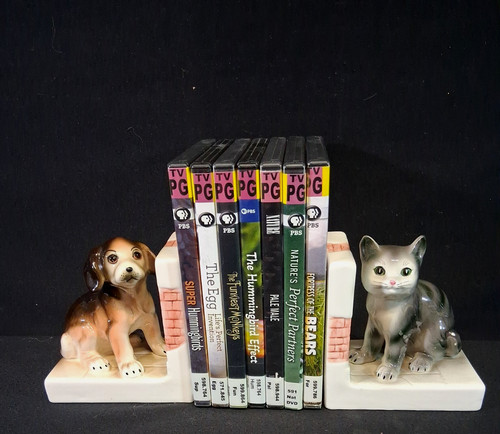 Pbs nature dvd lot - lot, of