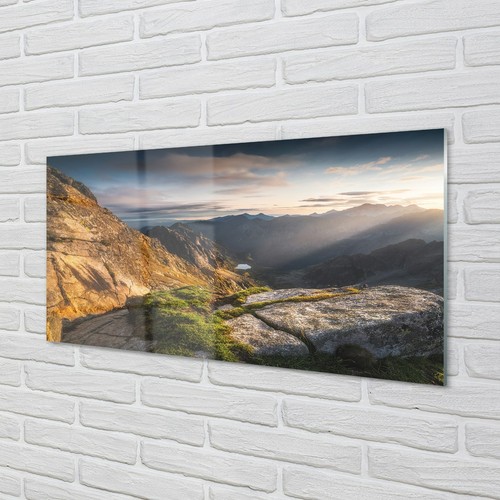 Tulup vetro acrilico 140x70