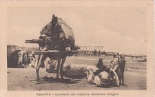 ERITREA - Asmara - Trasporto merci indigene Cammello