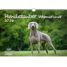 Magia per cani Weimaraner DIN