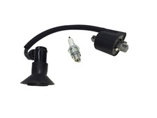 To fit Cobra quad 110, 100cc,  coil & spark plug, for cobra 100 aeon 100 apache