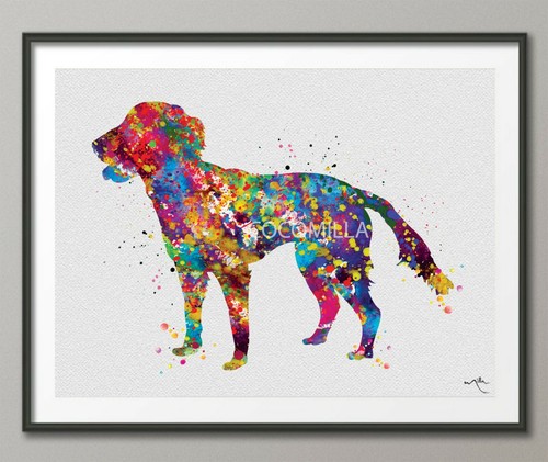 English springer spaniel dog - springer,