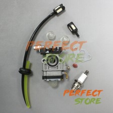 531002419 Carburatore per