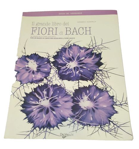 Libro grande dei - ,