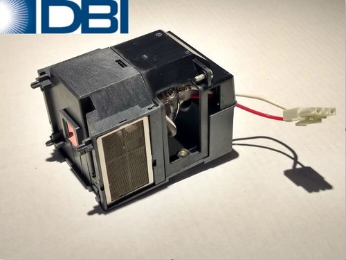 Lampada originale oem infocus - oem,