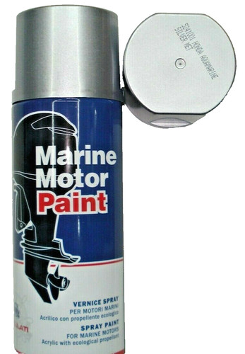 Vernice spray grigio - vernice,