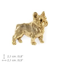 Francese Bulldog Corpo