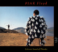 Pink Floyd ~ Delicate Sound Of
