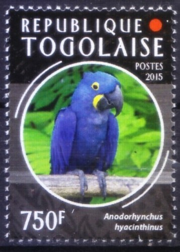 Togo 2015 mnh ara - togo, giacinto