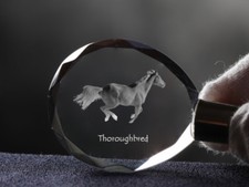 Inglese Purosangue, Cavallo