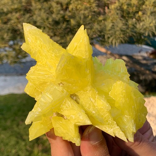 246g bellissimi minerali - 246g,