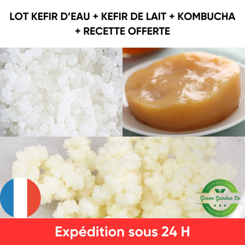 Lot kombucha scoby kéfir de - kombucha,