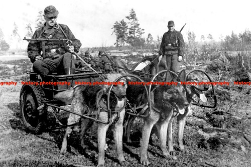 F019659 waffen soldiers - f019659,