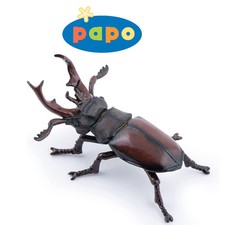 CERVO VOLANTE COLEOTTERO