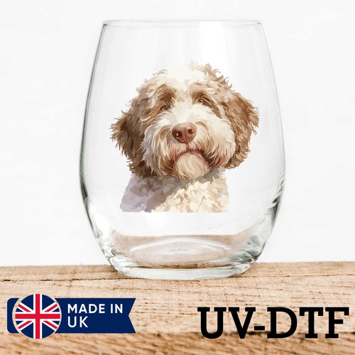 Lagotto romagnolo cane 8pz - cane,