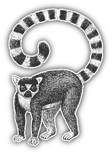 Adesivo decalcomania paraurti