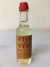 Mignon Miniature Fior Di Vite