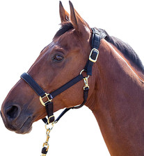 , Capezza Della Linea Topaz