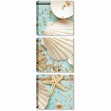 Tris  Conchiglie Mare - Quadri Marini per Bagno Soggiorno Camera Stampe su Tela