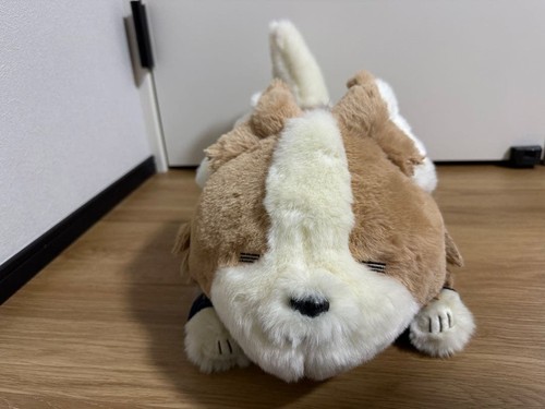 Peluche chiwawa camp laid - chiwawa, laid-back