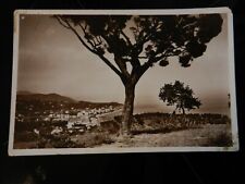 20137) PROVINCIA SAVONA ALBISOLA ALBISSOLA MARINA PANORAMA PINO MARITTIMO 1934