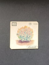 figurina Mio Locatelli 1950 #