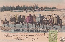 * TURCHIA - Smirne - Caravane de chameaux, Cammello Caravana 1900