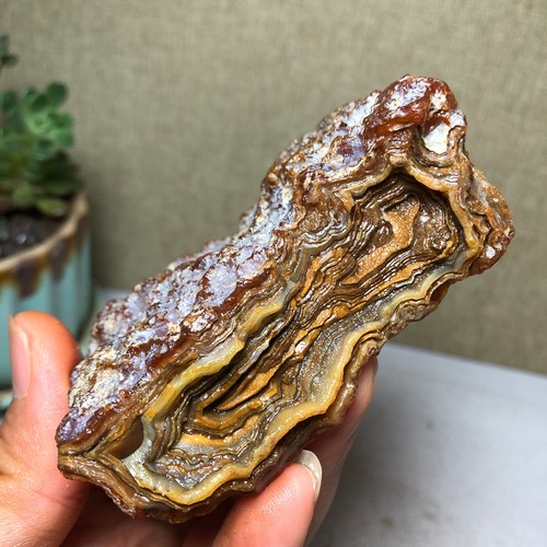 Bonsai naturale 156g suiseki - bonsai,