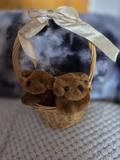 2 simpatici giocattoli morbidi