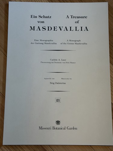 Treasure masdevallia - of,