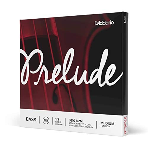 Set corde - (tg., scala