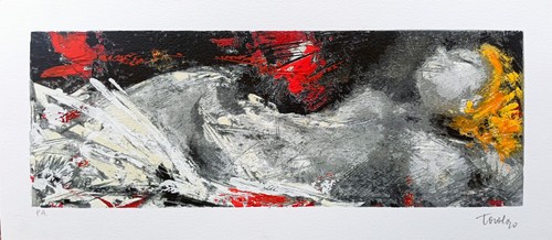 Francesco toraldo serigrafia - francesco,