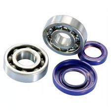 282.0006 CUSCINETTI ALTA