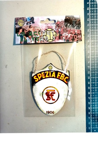 Scudetto gagliardetto legno - scudetto,