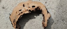 Sezione di ciliegio per tavoli