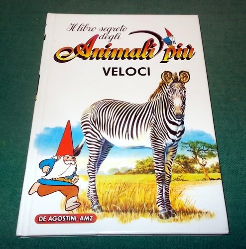 Libro segreto degli gnomi - il,