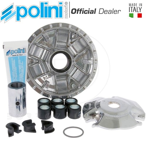 Kit variatore completo polini - completo,