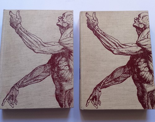 Meraviglie del nostro corpo - meraviglie,