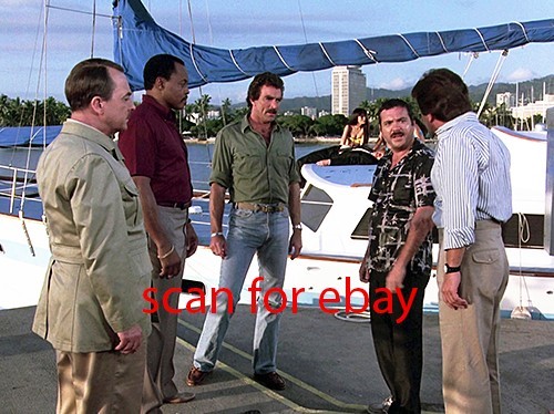 Magnum tom selleck foto - selleck,