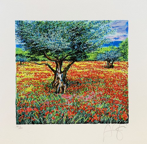 Franco azzinari campo di - franco,