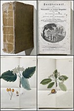 Botanik / Bechstein -