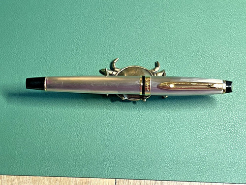 Waterman expert stainless - waterman,