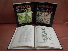 Decò Aldo Volontè Carla