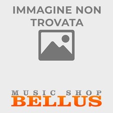 STERLING BY MUSIC MAN STINGRAY