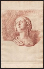 Busto Femminile Disegno