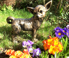 Statua cane chihuahua