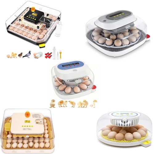 Incubatrice per uova 56 - incubatrice,