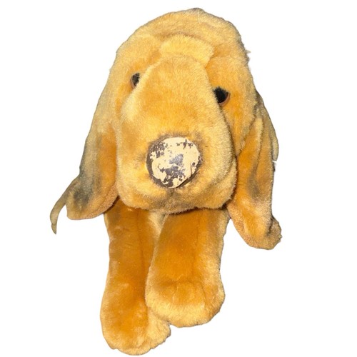 Animal alley hound - alley,