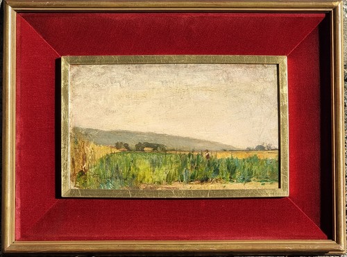 Carlo follini domodossola - follini, (